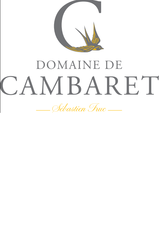 Logo partenaire (inline)